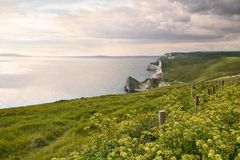 Lulworth Jurassic Coast