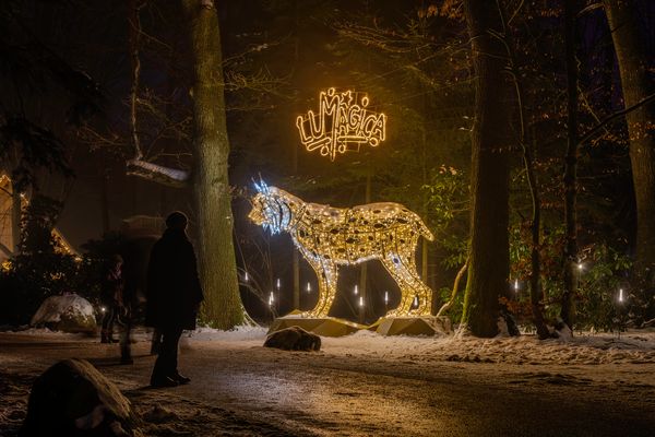 Lumagica Wildpark Schwarze Berge 