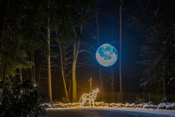 Lumagica Wildpark Schwarze Berge 