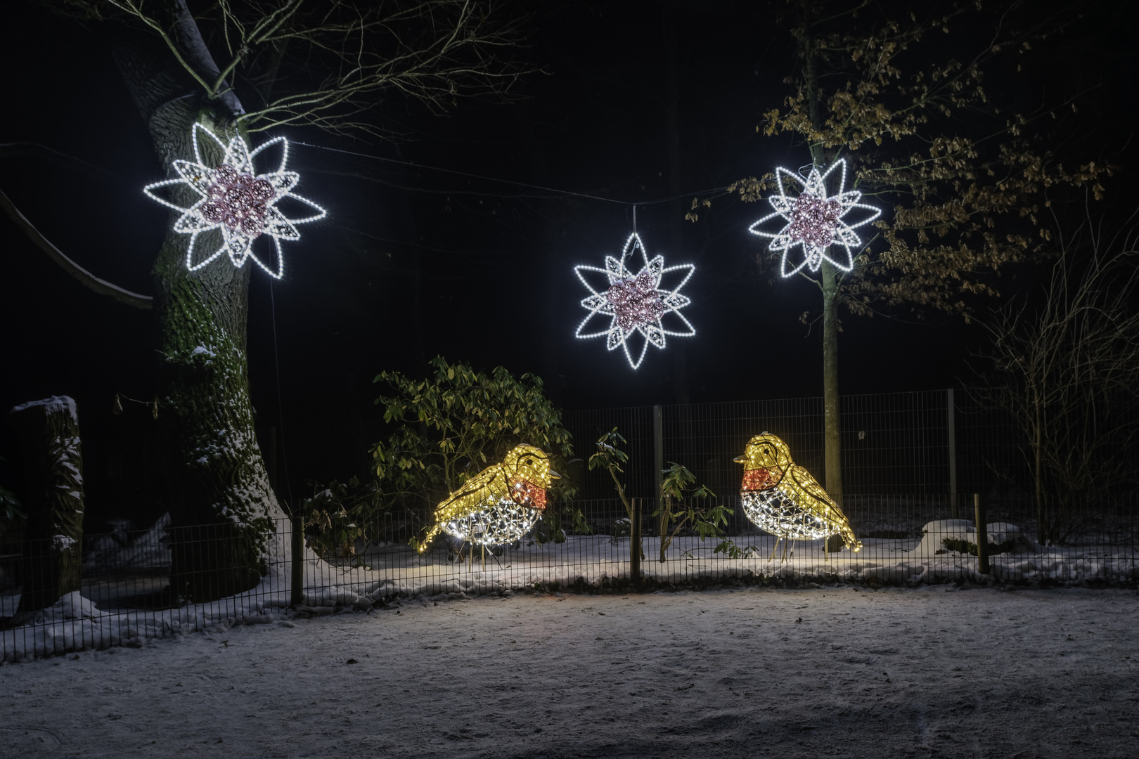 Lumagica Wildpark Schwarze Berge 