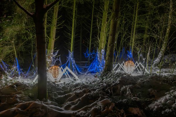 Lumagica Wildpark Schwarze Berge 