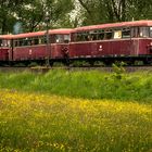 Lumbdatalbahn: Sonderfahrt der OEF