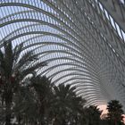 l'UMBRACLE