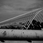 l'umbracle