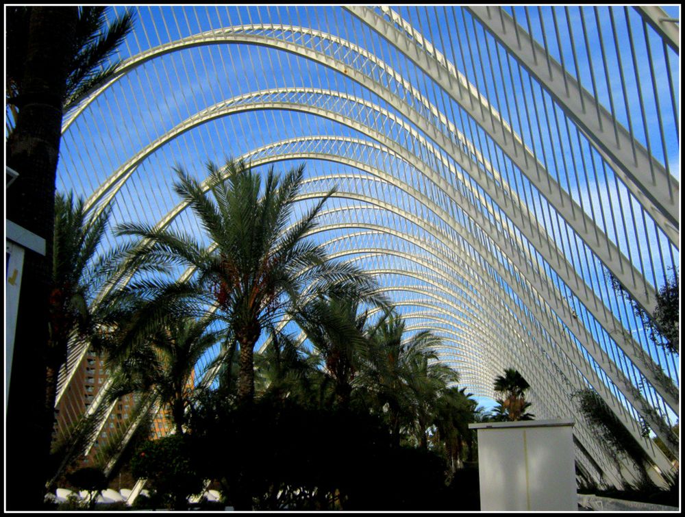 ..L'Umbracle....