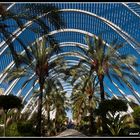 L'umbracle, Valencia