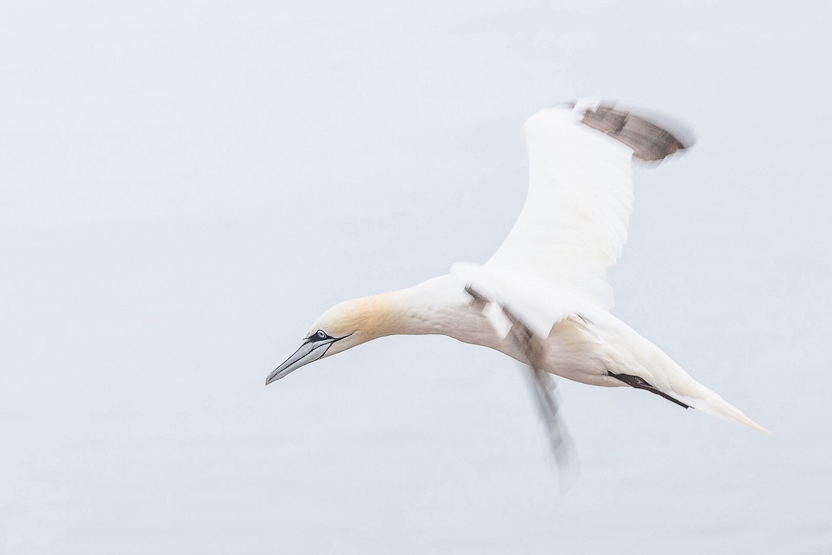 Lumen im Flug