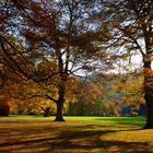 Lumière dans le parc