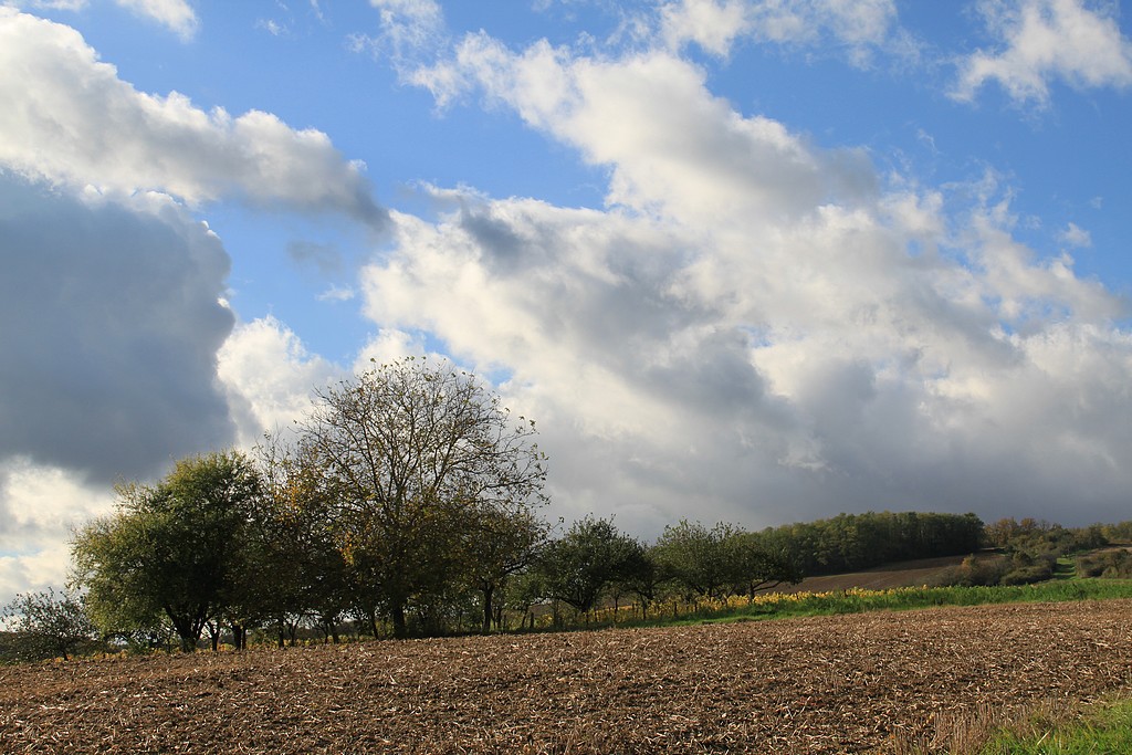 Lumière d'Automne