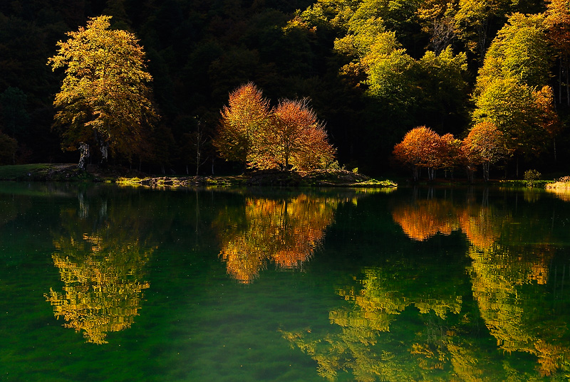 Lumière d'automne...