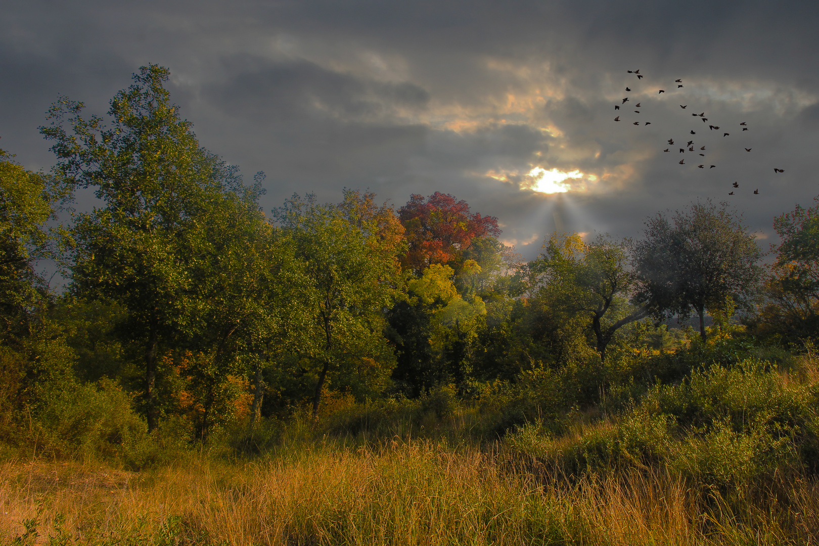 Lumière d'automne