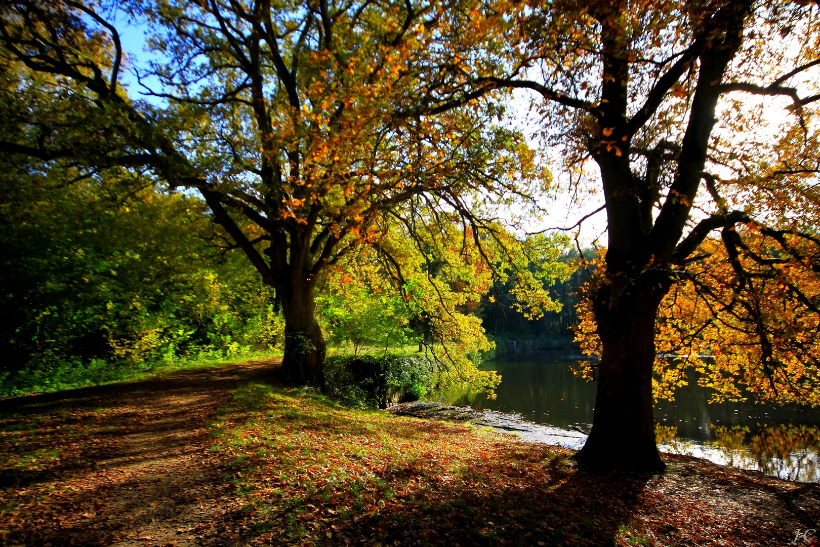 " Lumière d'automne "