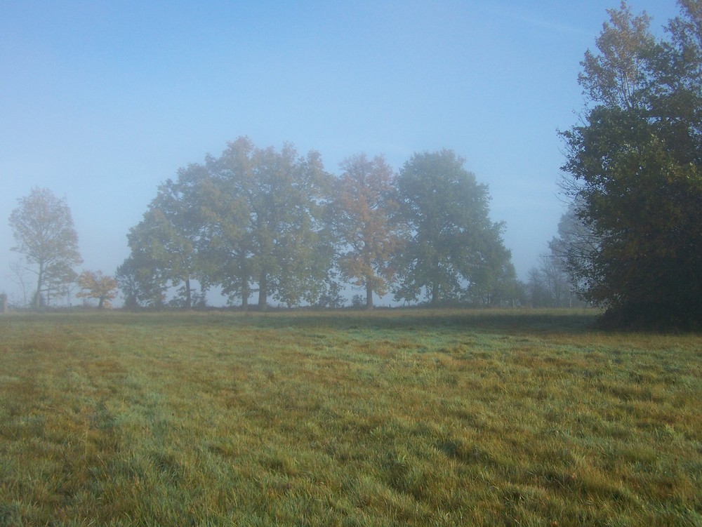 Lumière d'automne