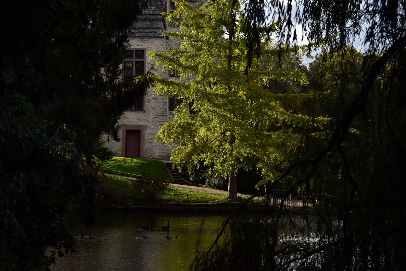 Lumière d'automne au château