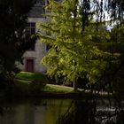 Lumière d'automne au château