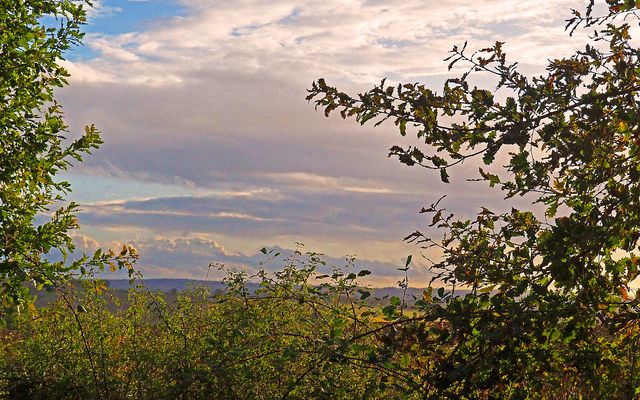 Lumière d’automne dans le Gers