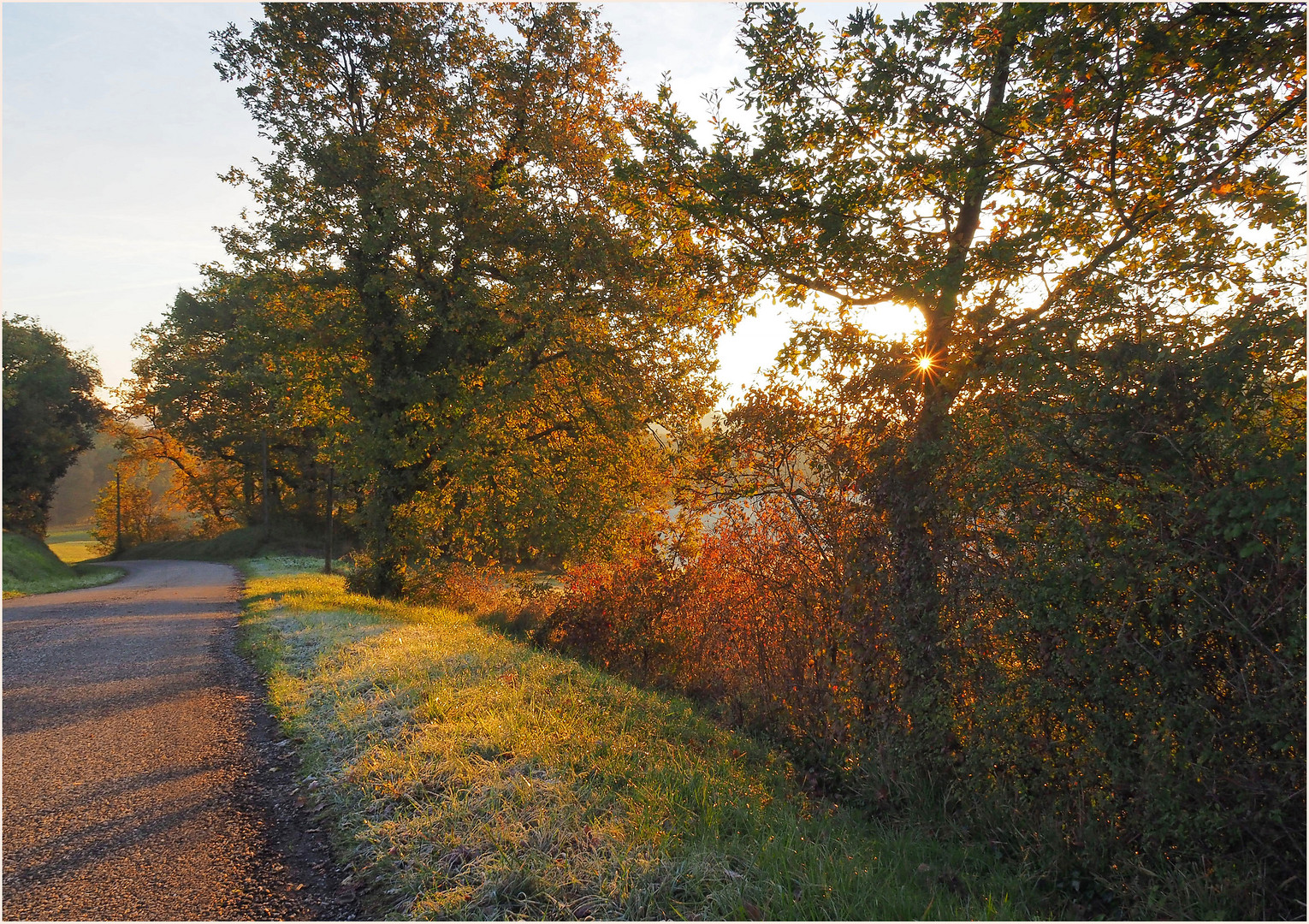 Lumière d’automne