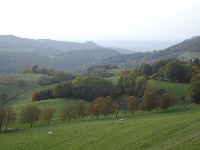 lumière d'automne