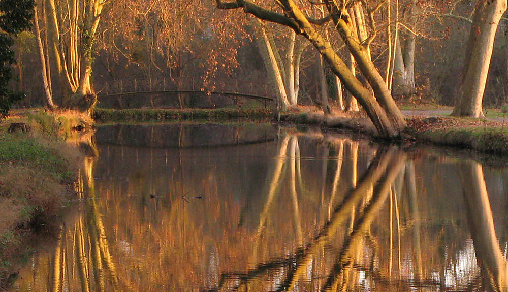 Lumière d'automne