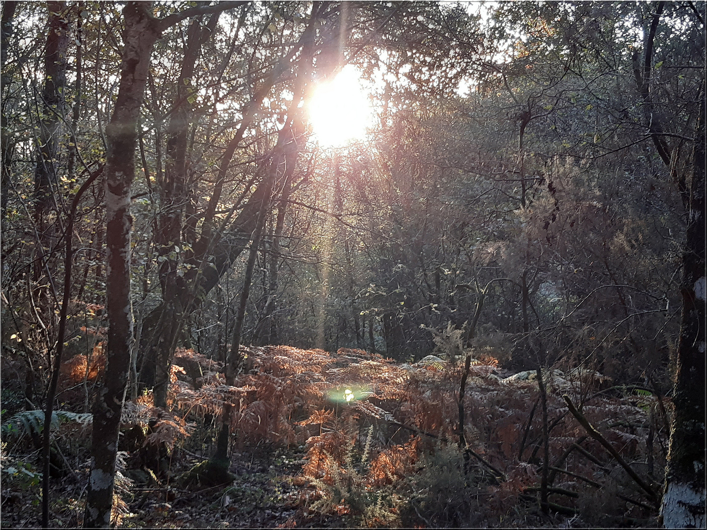 ..Lumière d'automne en Bretagne..