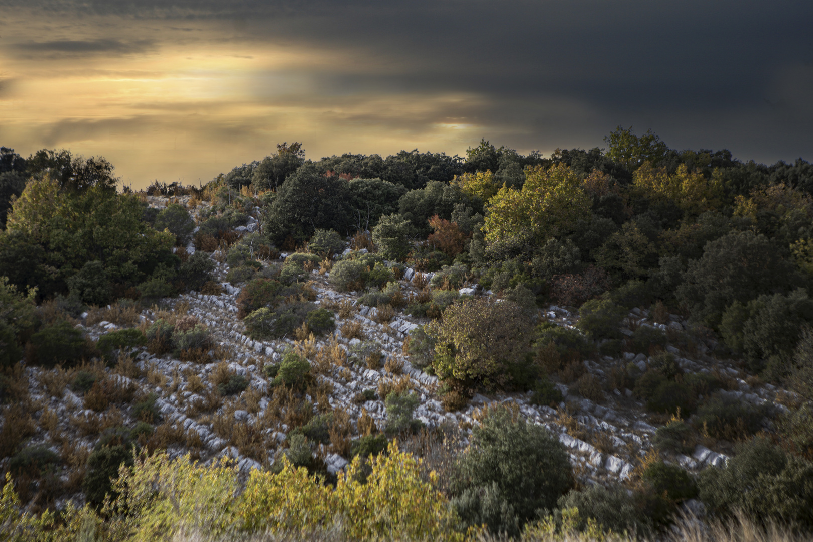 Lumière d'automne en colline provençale