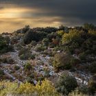 Lumière d'automne en colline provençale