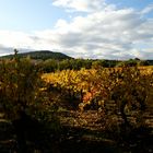 lumière d'automne en Languedoc Roussillon