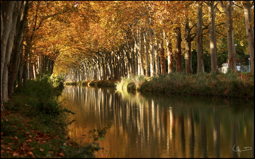 Lumière d'automne sur le canal du midi