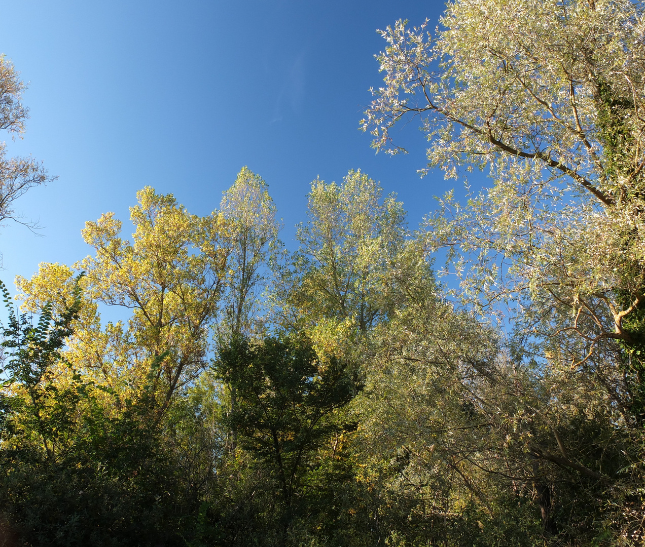 lumière de fin d'été