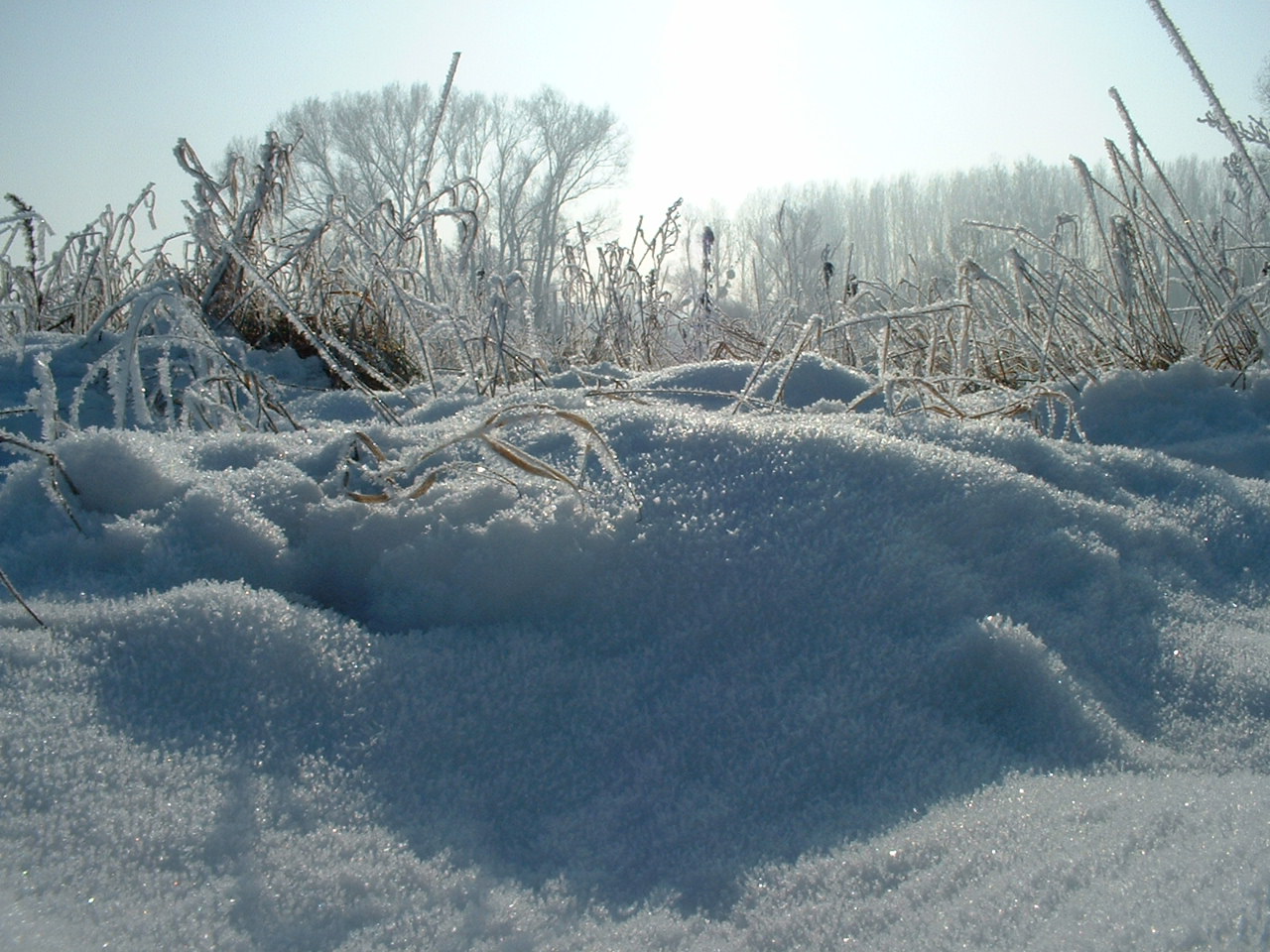 lumière de neige