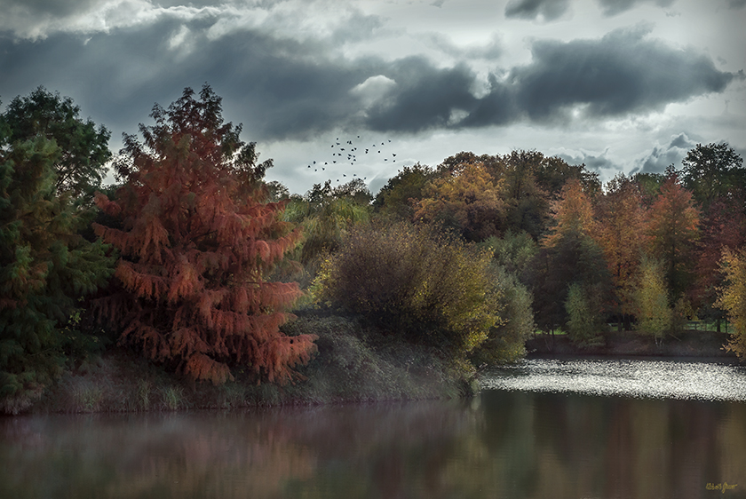 Lumière de novembre 2015