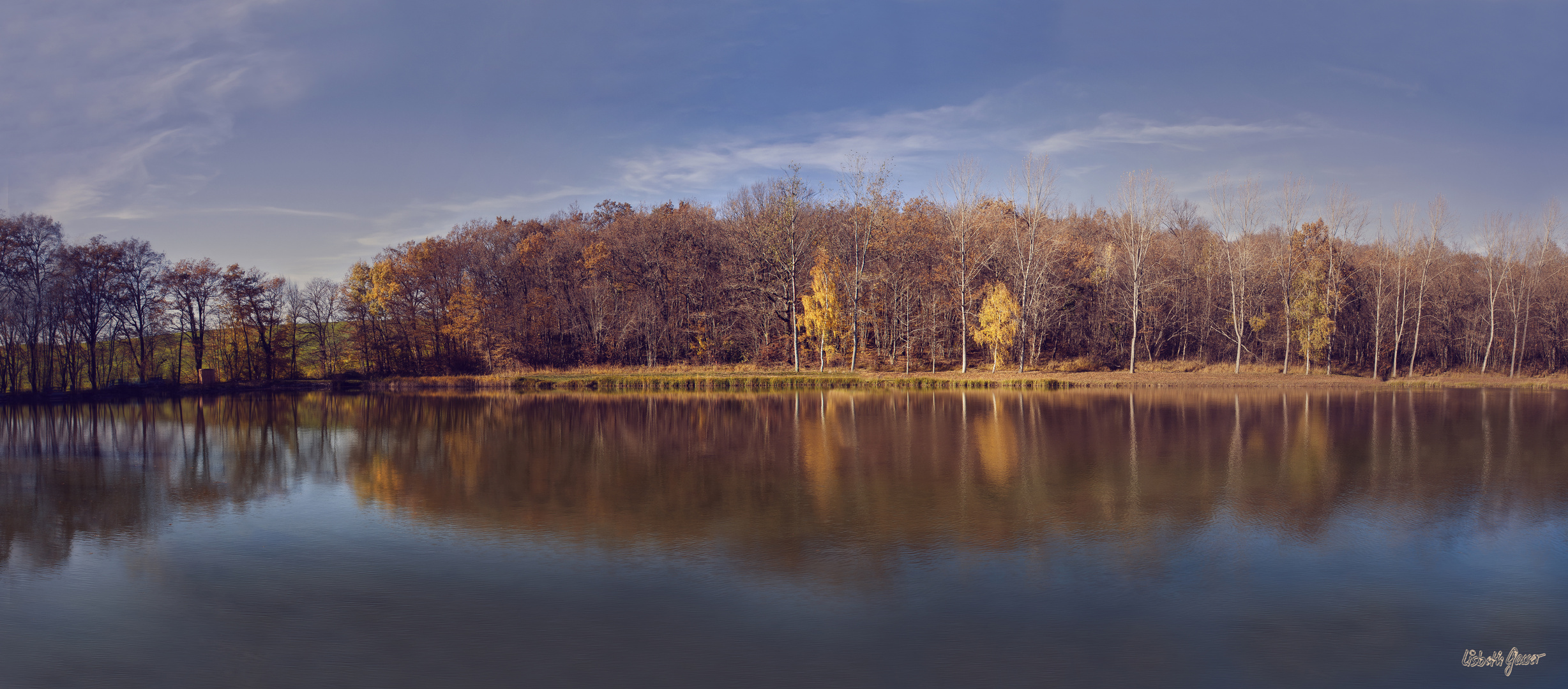 Lumière de novembre II 2015