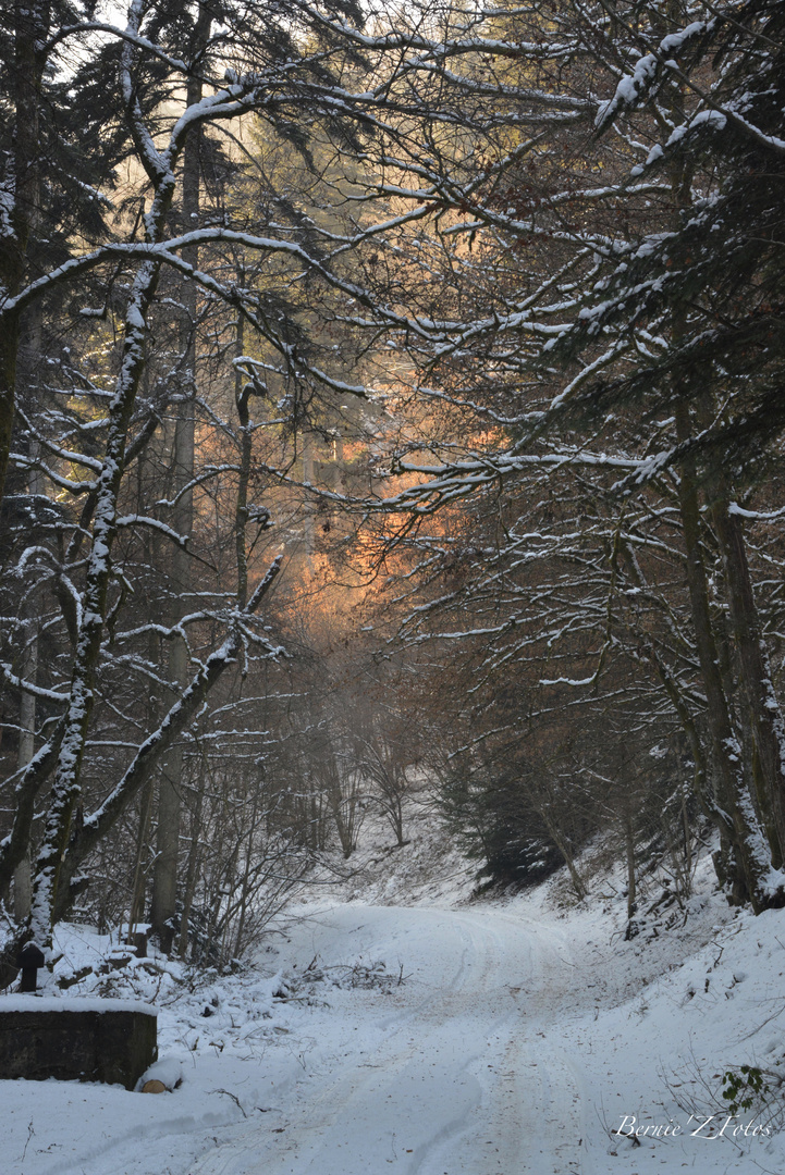 lumière d'hiver