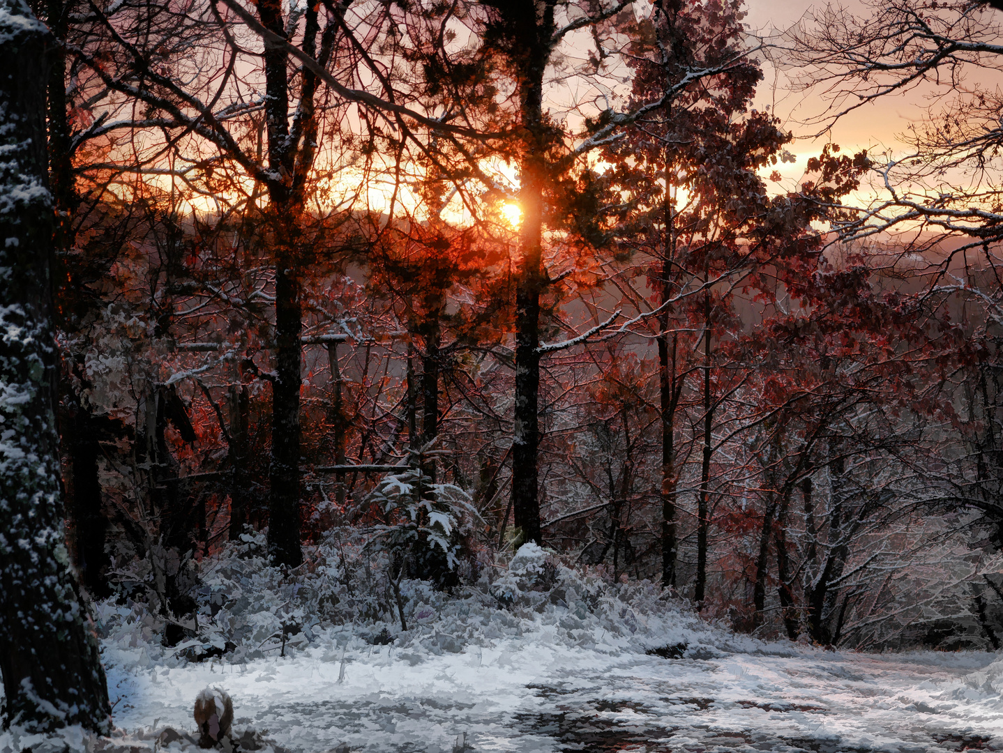 Lumière d'hiver