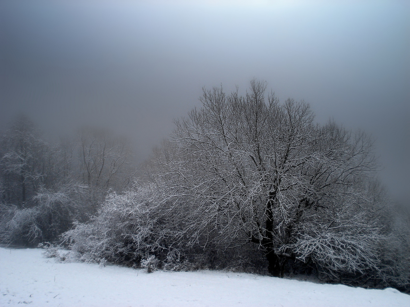 Lumière d'hiver