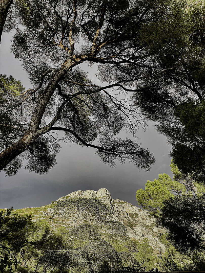 Lumière d'orage 