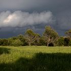 Lumière d'orage en mai .