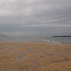 Lumière du bassin d'Arcachon 3