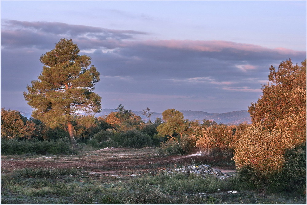 Lumière du matin