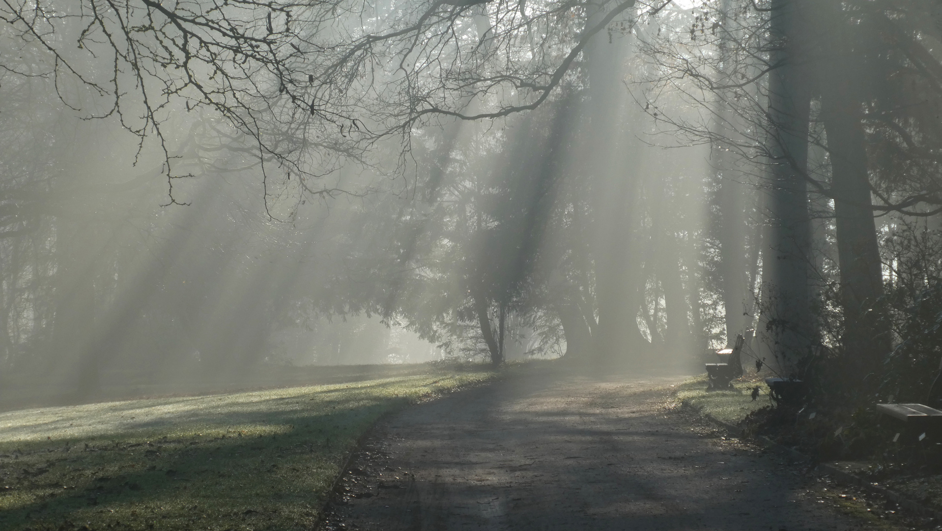 Lumière du matin