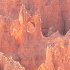 Lumière du soir sur Bryce Canyon