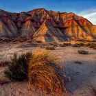 Lumière du soir sur les Bardenas