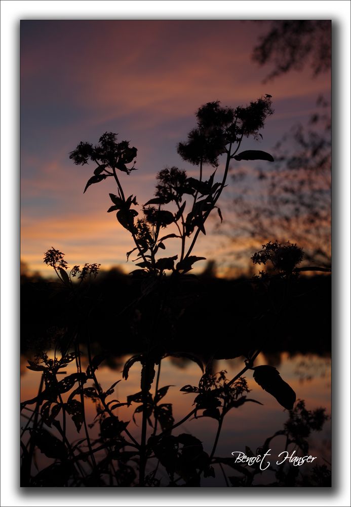 Lumière d'un soir