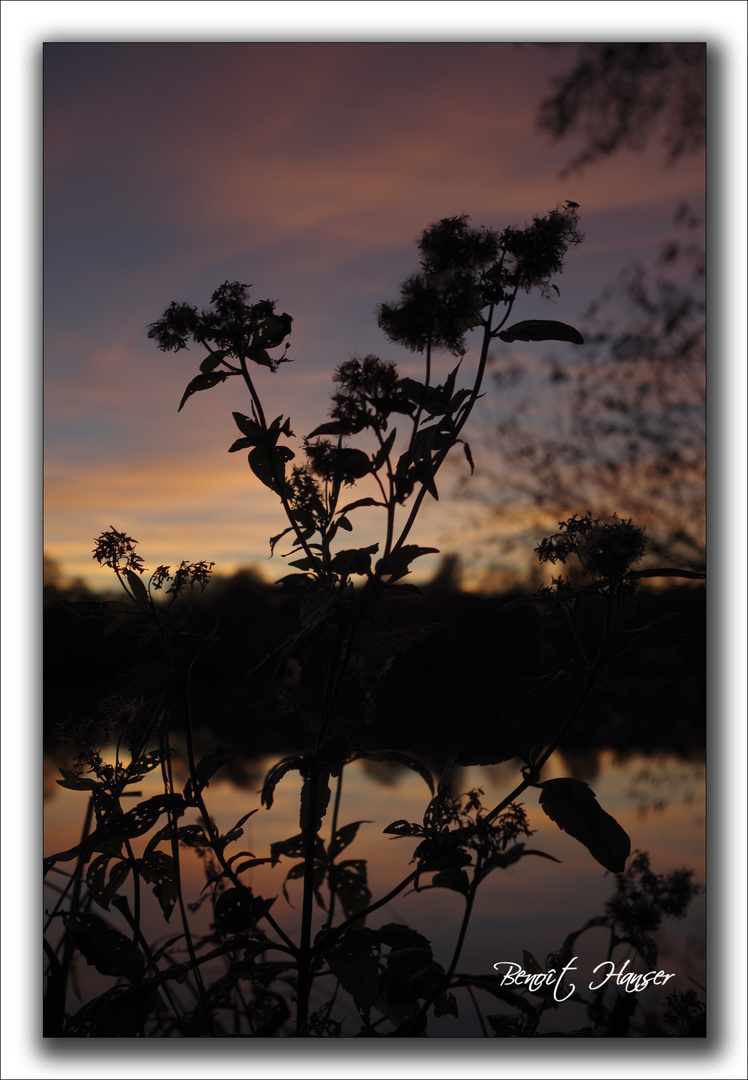 Lumière d'un soir