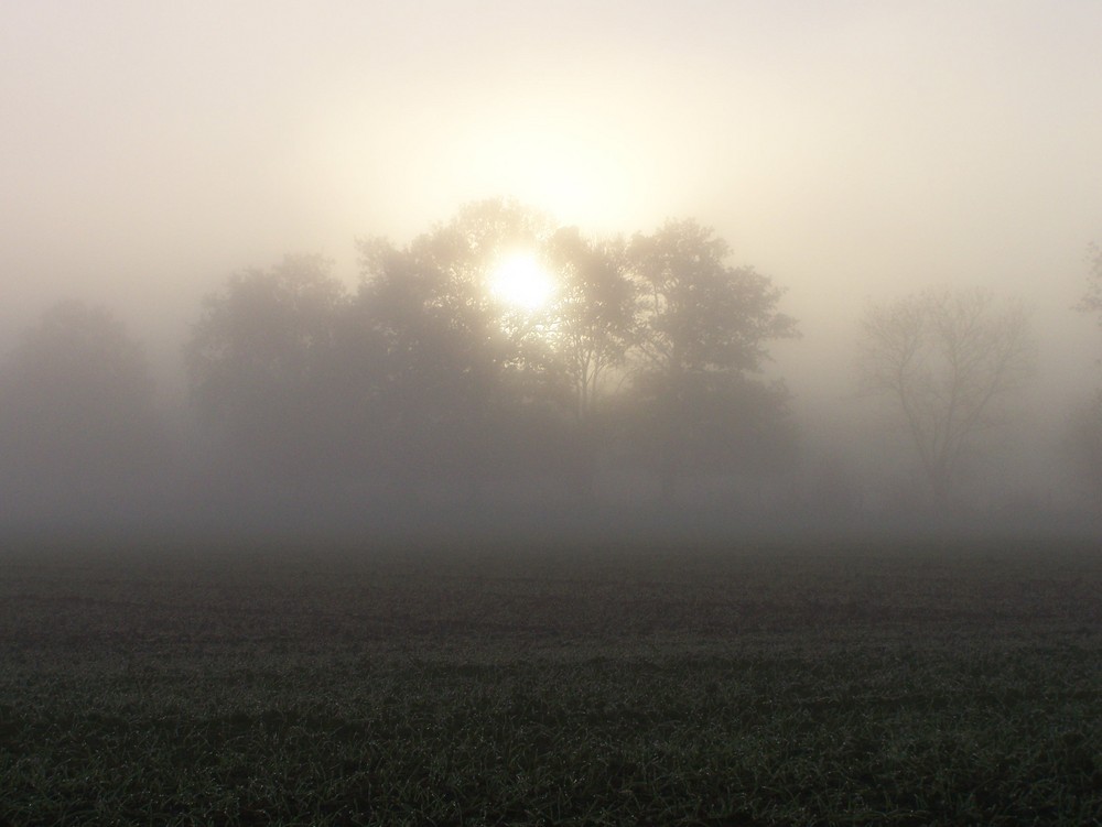 Lumière et brouillard