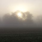 Lumière et brouillard