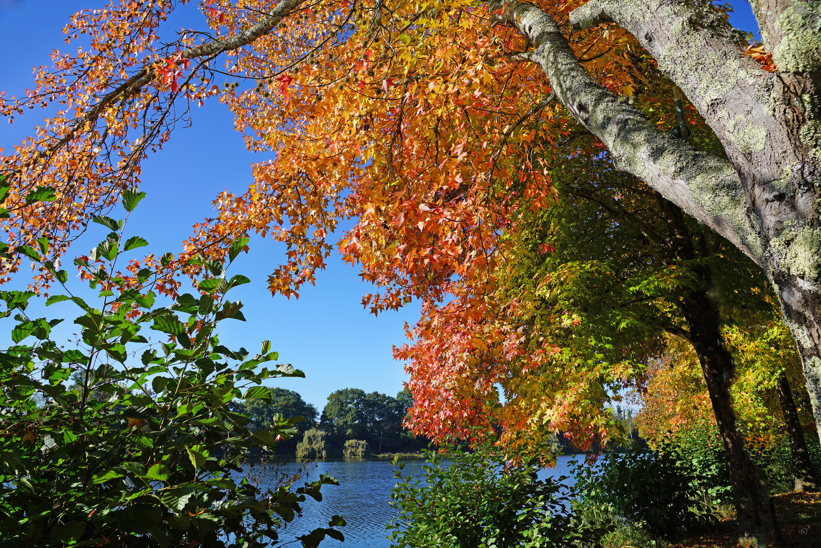 Lumière et couleurs d'automne