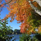 Lumière et couleurs d'automne