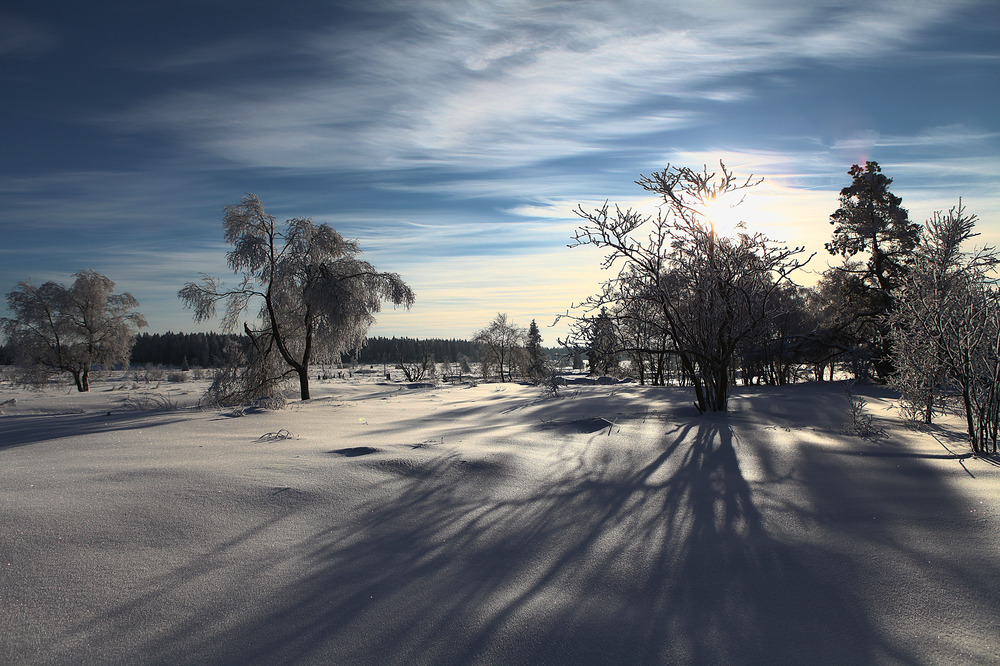 Lumière hivernale