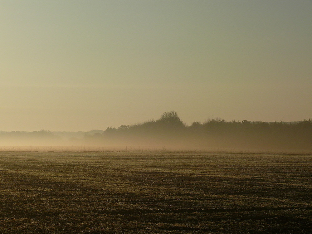 lumière matinale